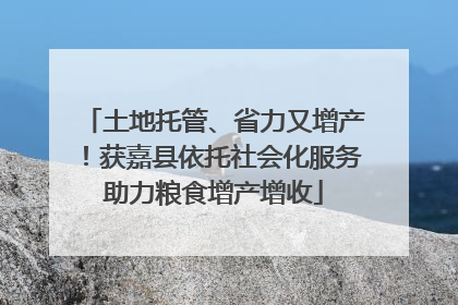 土地托管、省力又增产！获嘉县依托社会化服务助力粮食增产增收