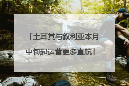 土耳其与叙利亚本月中旬起运营更多直航