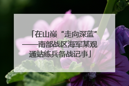 在山巅“走向深蓝”——南部战区海军某观通站练兵备战记事