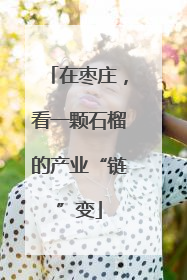 在枣庄，看一颗石榴的产业“链”变