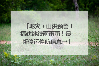地灾＋山洪预警！福建继续雨雨雨！最新停运停航信息→