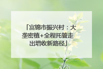 富锦市振兴村：大垄密植+全程托管走出增收新路径