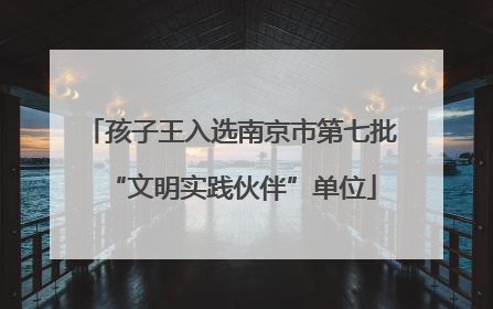 孩子王入选南京市第七批“文明实践伙伴”单位