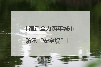 宿迁全力筑牢城市防汛“安全堤”