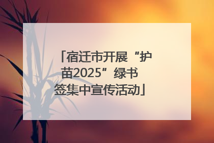 宿迁市开展“护苗2025”绿书签集中宣传活动