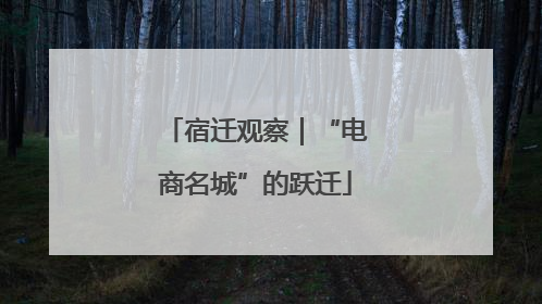 宿迁观察｜“电商名城”的跃迁