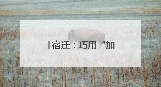 宿迁：巧用“加减法”，探索营商环境“最优解”