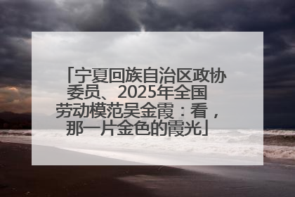 宁夏回族自治区政协委员、2025年全国劳动模范吴金霞：看，那一片金色的霞光