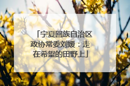 宁夏回族自治区政协常委刘媛：走在希望的田野上