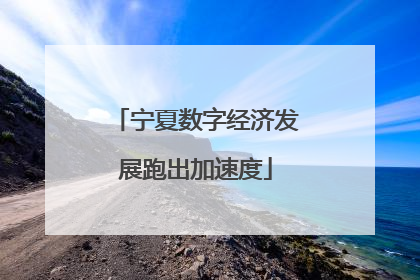 宁夏数字经济发展跑出加速度