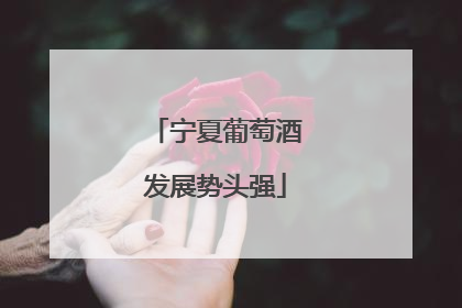 宁夏葡萄酒发展势头强