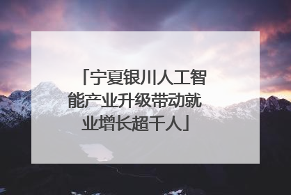 宁夏银川人工智能产业升级带动就业增长超千人
