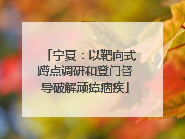 宁夏：以靶向式蹲点调研和登门督导破解顽瘴痼疾