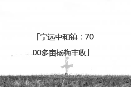 宁远中和镇：7000多亩杨梅丰收