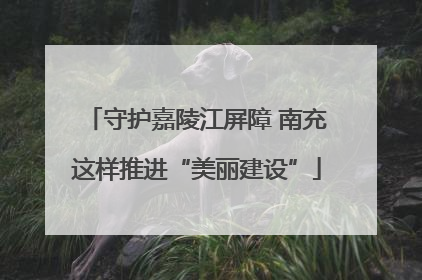 守护嘉陵江屏障 南充这样推进“美丽建设”