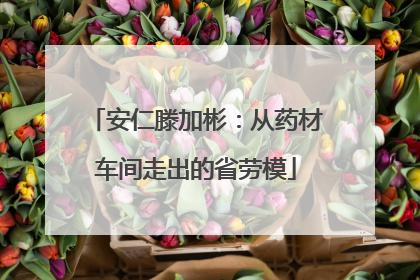 安仁滕加彬：从药材车间走出的省劳模