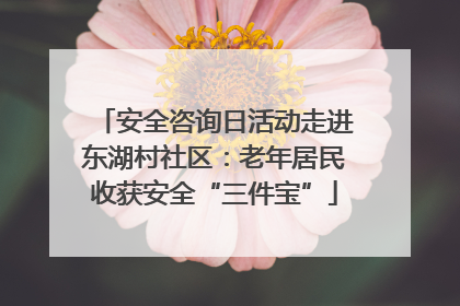 安全咨询日活动走进东湖村社区：老年居民收获安全“三件宝”