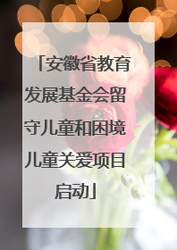 安徽省教育发展基金会留守儿童和困境儿童关爱项目启动