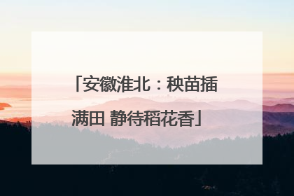 安徽淮北：秧苗插满田 静待稻花香