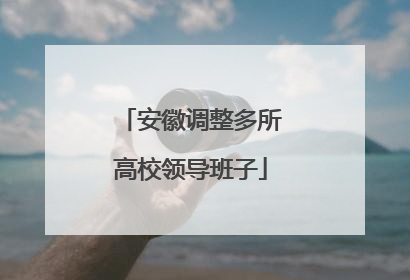 安徽调整多所高校领导班子