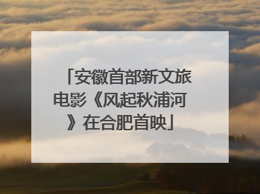 安徽首部新文旅电影《风起秋浦河》在合肥首映
