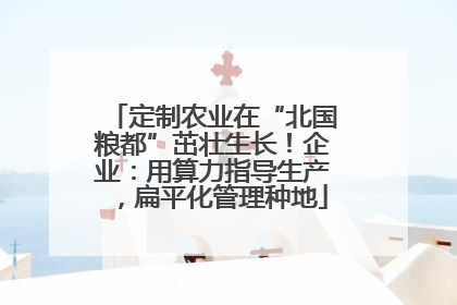 定制农业在“北国粮都”茁壮生长！企业：用算力指导生产，扁平化管理种地