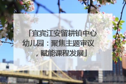 宜宾江安留耕镇中心幼儿园：聚焦主题审议，赋能课程发展