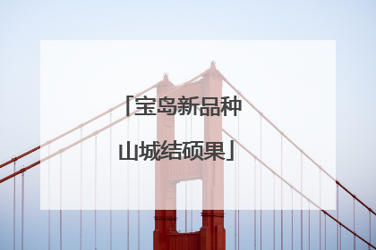 宝岛新品种 山城结硕果