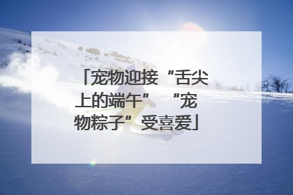 宠物迎接“舌尖上的端午” “宠物粽子”受喜爱