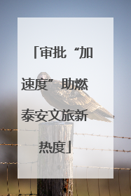 审批“加速度”助燃泰安文旅新热度