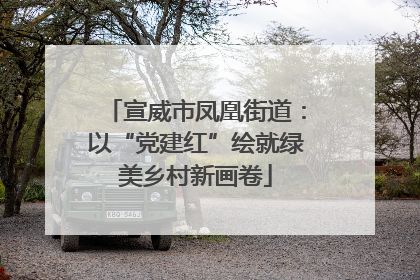 宣威市凤凰街道：以“党建红”绘就绿美乡村新画卷