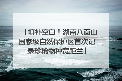 填补空白！湖南八面山国家级自然保护区首次记录珍稀物种宽距兰