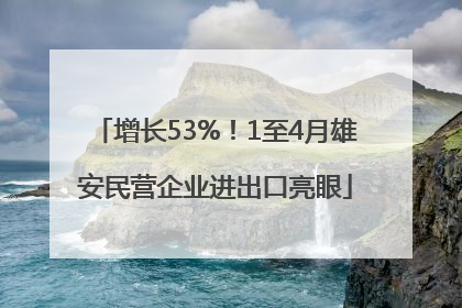 增长53%！1至4月雄安民营企业进出口亮眼