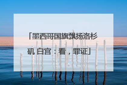 墨西哥国旗飘扬洛杉矶 白宫：看，罪证