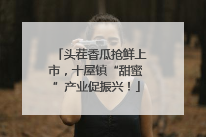 头茬香瓜抢鲜上市，十屋镇“甜蜜”产业促振兴！
