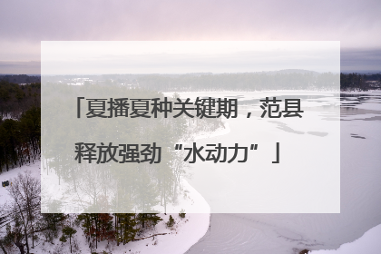 夏播夏种关键期，范县释放强劲“水动力”