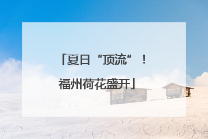 夏日“顶流”！福州荷花盛开
