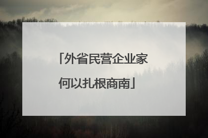 外省民营企业家何以扎根商南