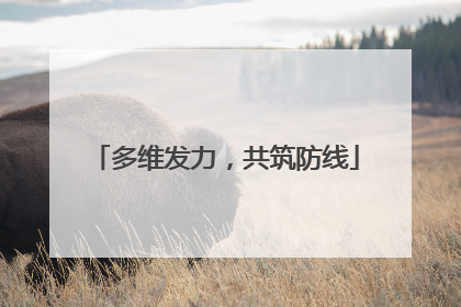 多维发力，共筑防线