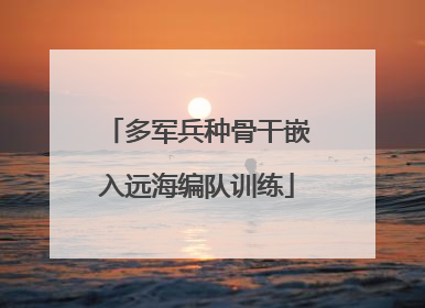 多军兵种骨干嵌入远海编队训练