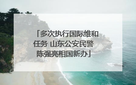 多次执行国际维和任务 山东公安民警陈强亮相国新办