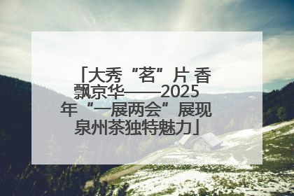 大秀“茗”片 香飘京华——2025年“一展两会”展现泉州茶独特魅力