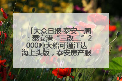 大众日报·泰安一周：泰安港“三改二”2000吨大船可通江达海上头版，泰安房产服务改革经验全省推广