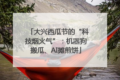大兴西瓜节的“科技烟火气”：机器狗搬瓜、AI摊煎饼