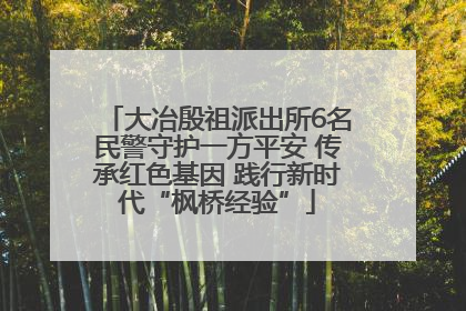 大冶殷祖派出所6名民警守护一方平安 传承红色基因 践行新时代“枫桥经验”