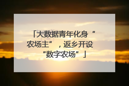 大数据青年化身“农场主”，返乡开设“数字农场”