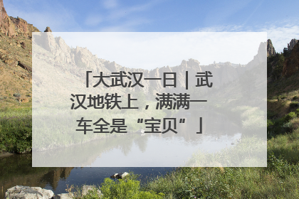 大武汉一日｜武汉地铁上，满满一车全是“宝贝”