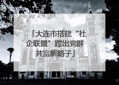 大连市搭建“社企联盟”蹚出党群共富新路子