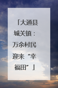 大通县城关镇：万余村民迎来“幸福田”