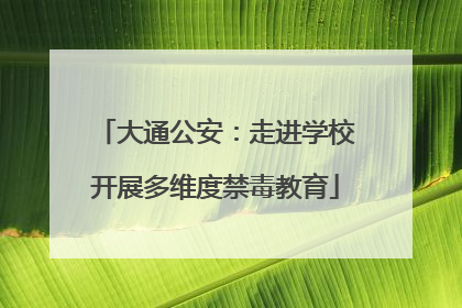 大通公安：走进学校开展多维度禁毒教育